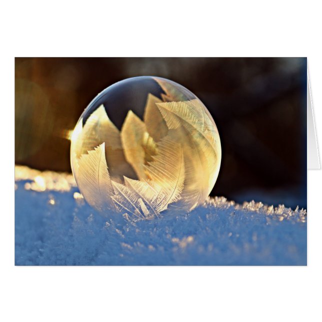Bulle de savon de neige d'hiver avec le feuille à (Devant Horizontal)