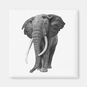 Bulle Elefant - Zeichnend im Stift Magnet