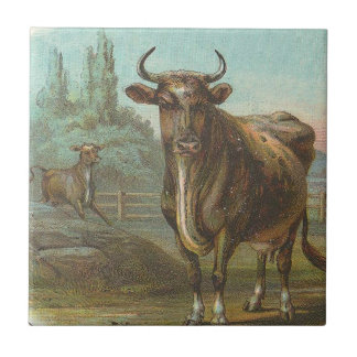 Bulle Fliese