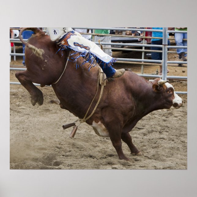 Bullenreiter am Rodeo Poster (Vorne)