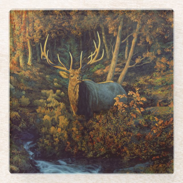 Bullenstech im Herbstwald Glasuntersetzer (Vorderseite)