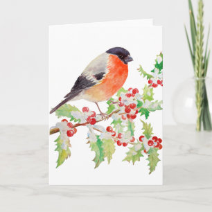 Bullfinch auf Holly Branch in Snow Grußkarte Karte