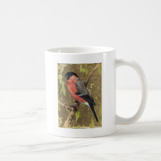 Bullfinch Kaffeetasse
