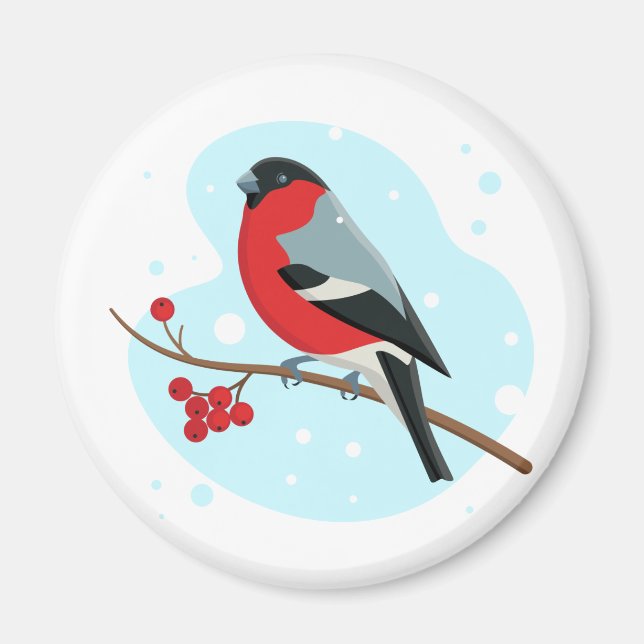 Bullfinch. Schöner Winter Magnet (Vorne)