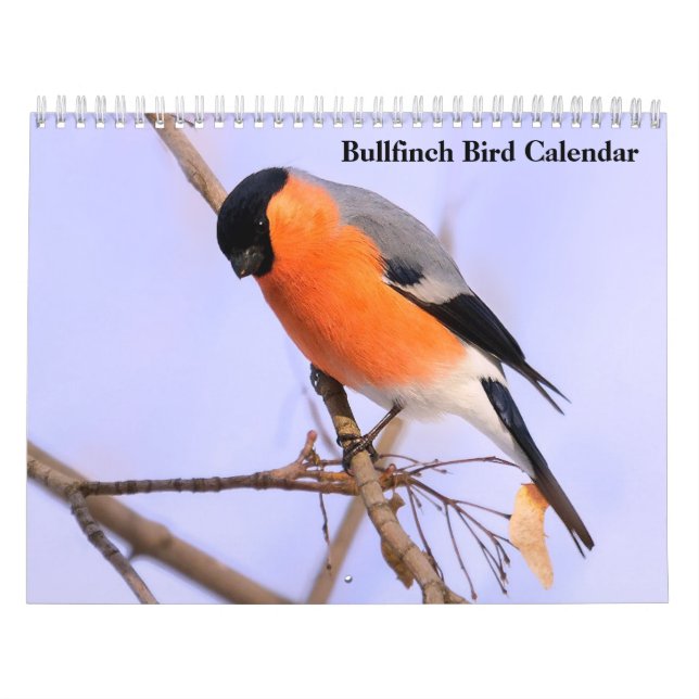 Bullfinch-Vogelkalender Kalender (Titelbild)