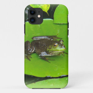Bullfrog auf Lilypads iPhone 11 Hülle