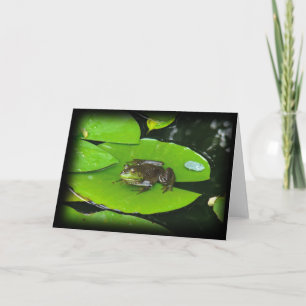 Bullfrog auf Lilypads Karte