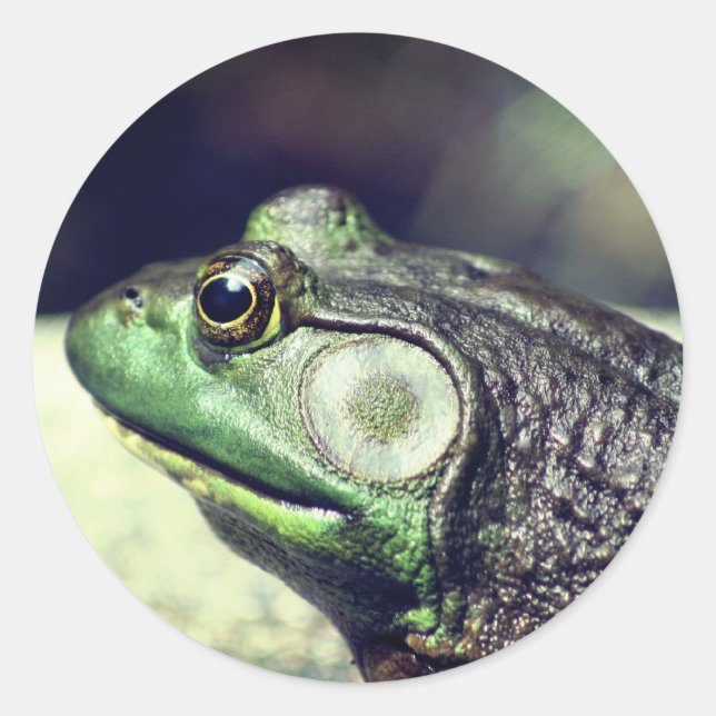 Bullfrog Gedanken Natur Runder Aufkleber (Vorderseite)