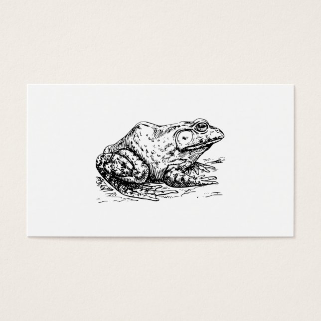 Bullfrosch (Vorderseite)