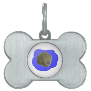 Bullfrosch in Pond Pet Tag Tiermarke