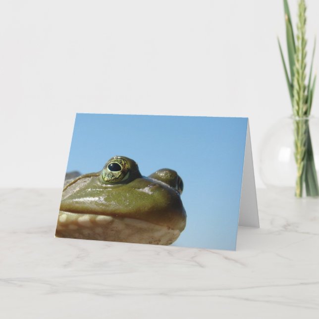 Bullfrosch Karte (Vorderseite)