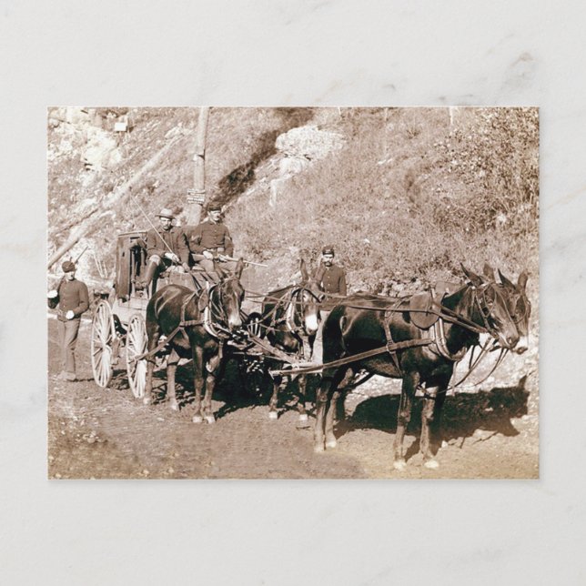 Bullion Bühne Coach Vintag Postkarte (Vorderseite)