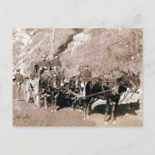 Bullion-Postkutsche Vintage Postkarte