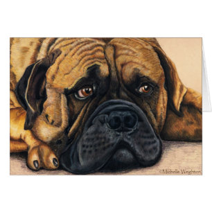 Bullmastiff attendant - art de race de chien