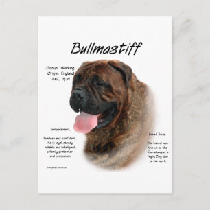 Bullmastiff (Bindle) History Design Postkarte