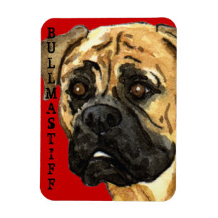 Bullmastiff Farbblock Magnet