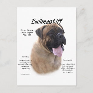 Bullmastiff (fawn) History Design Postkarte