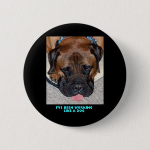 Bullmastiff I haben wie ein Hund gearbeitet Button