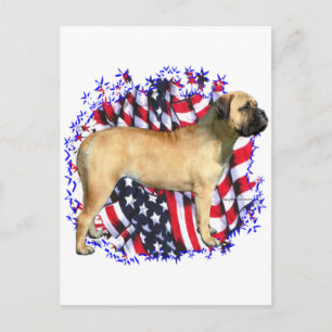 Bullmastiff Patriot Postkarte