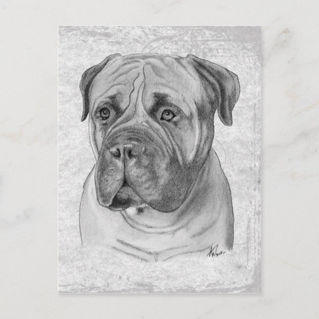 Bullmastiff Postkarte (Vorderseite)