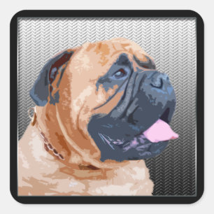 Bullmastiff Quadratischer Aufkleber