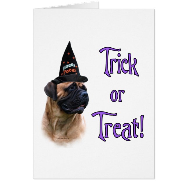 Bullmastiff Trick (Vorne)