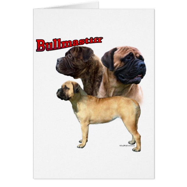 Bullmastiff Trio 2 (Vorne)