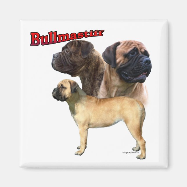 Bullmastiff Trio 2 - Magnet (Devant)