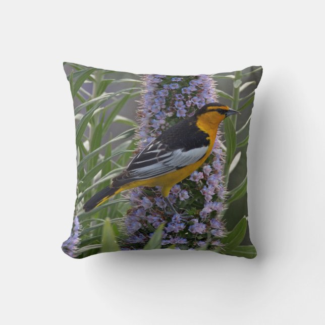 Bullocks Oriole Kissen (Vorderseite)