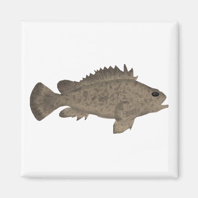 Bullrout Magnet (Vorne)