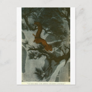 Bull's Folk of the Woods Postkarte