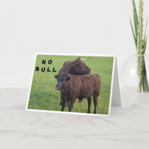 BULLS SAGEN *KEINE BULL* SIE KÖNNEN NICHT **40** S KARTE