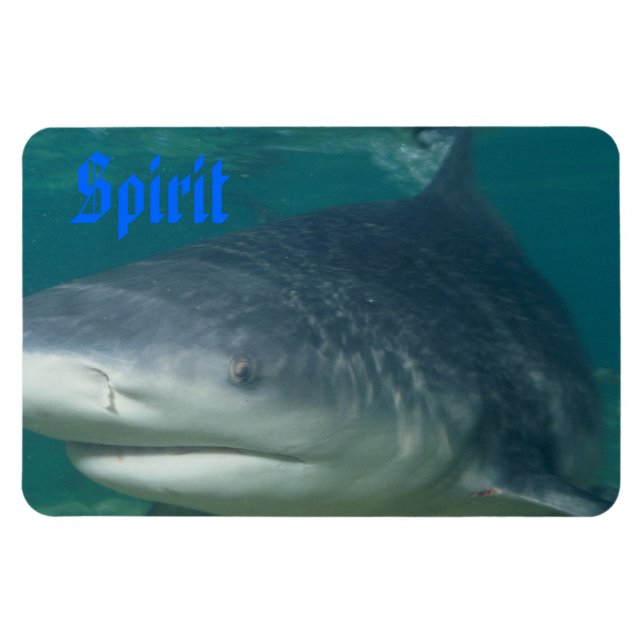 Bullshark Geist Magnet (Horizontal)