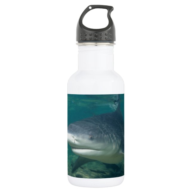 Bullshark Trinkflasche (Vorderseite)