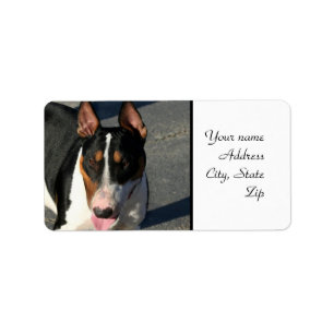 Bullterrier Adressaufkleber