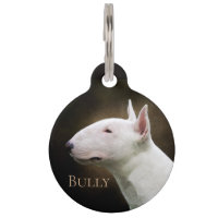 Bullterrier