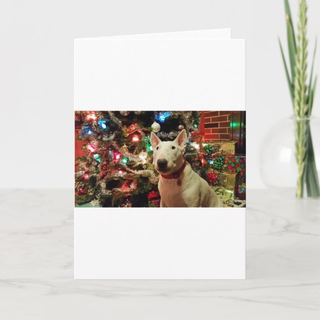 Bullterrier Weihnachtsgeschenkbaum Feiertagskarte (Vorderseite)