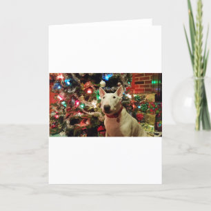 Bullterrier Weihnachtsgeschenkbaum Feiertagskarte