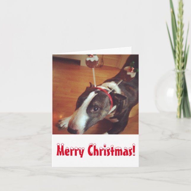 Bullterrier-Weihnachtskarte Feiertagskarte (Vorderseite)