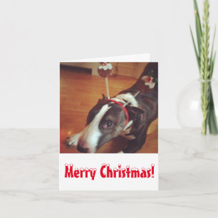 Bullterrier-Weihnachtskarte Feiertagskarte