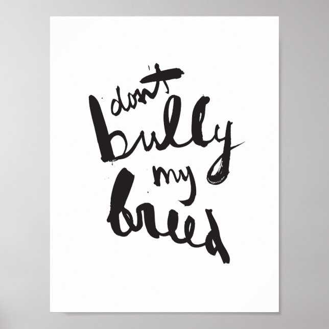 Bully meine Rasse nicht Poster (Vorne)