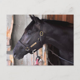 Bully Proof von Bellamy Road Flaming Slew Postkarte