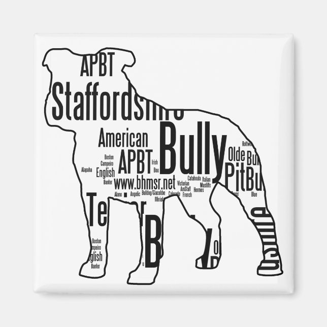 Bully Words Magnet (Vorne)