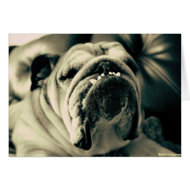 Bully Zeth (Vorderseite (Horizontal))