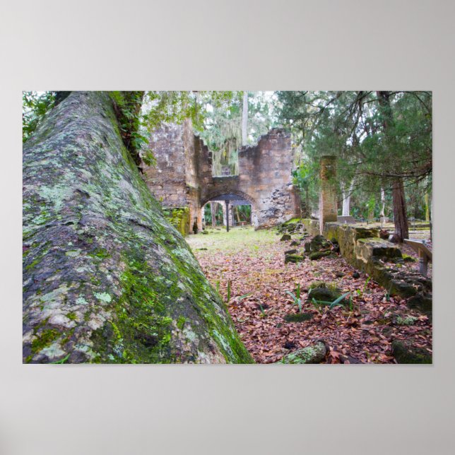 Bulow Plantage, Florida Poster (Vorne)