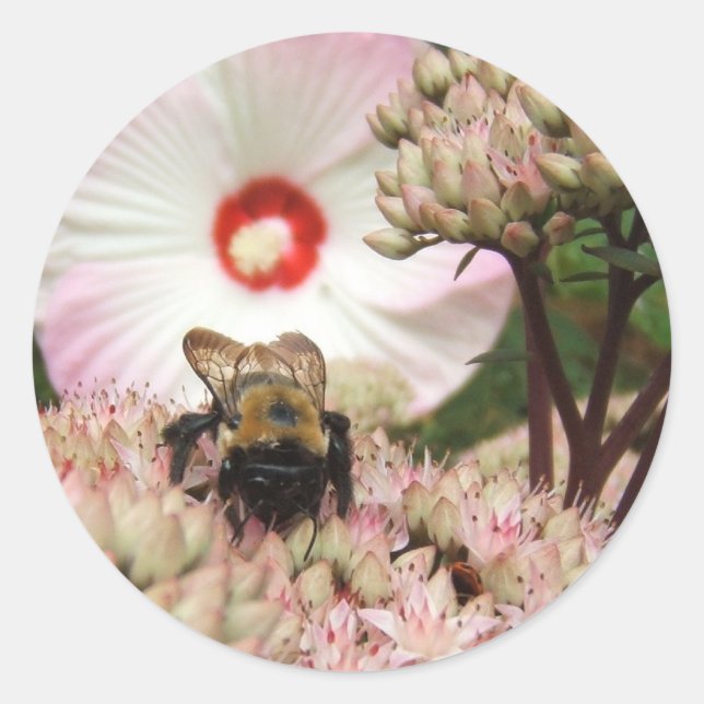 Bumble Bee ~ autocollant (Devant)