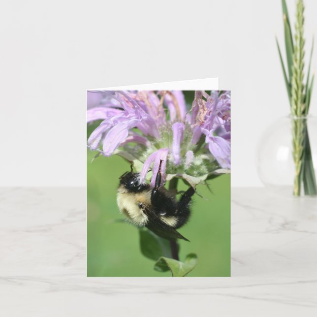 Bumble Bee On Bee Balm Flower Photography Note Karte (Vorderseite)