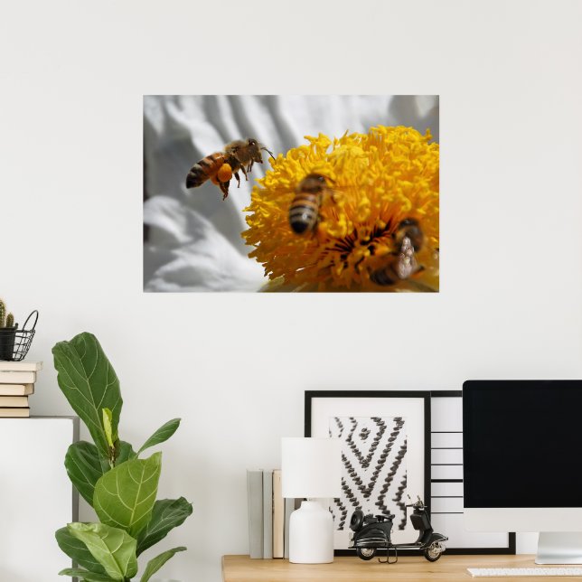 Bumble Bee pollen poster (Bureau à domicile)