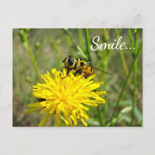 Bumble Bee Smile Dandelion Blume Postkarte