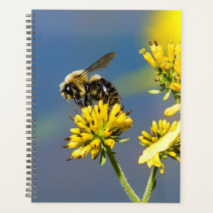 Bumble Bee Spiral Planificateur hebdomadaire/mensu